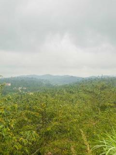 Malnad Hills Brew - Mudigere - 6