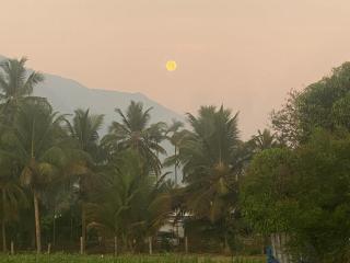 Krishnagudi Temple Stay - 8