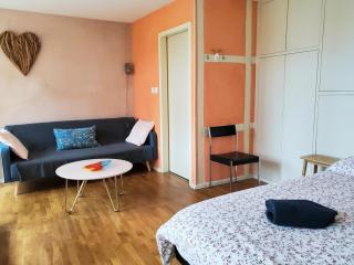 Ecologement cosy au centre de Strasbourg - Strasburgo - 2