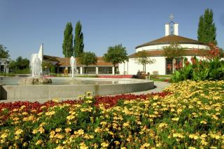 Hotel Birkenhof Therme - Bad Griesbach - 1