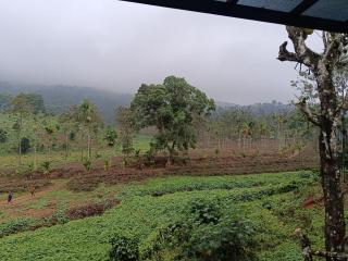 The Tree House - Vythiri - 9