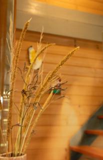Bombah Point Eco Cottages - Bulahdelah - 8