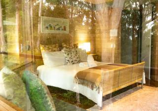 Bombah Point Eco Cottages - Bulahdelah - 6