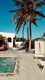 Movida Inn Aruba - Palm-Eagle Beach - 4