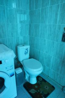 Гоcтевой дом Актилек Guest house Aktılek - Sary-Bulak - 3