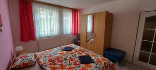 Apartmán Jáchymov Krušné hory - 3