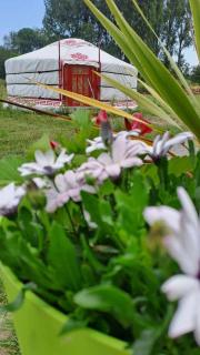 Les insolites de la Baie - Longroy - 4