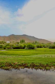 Guest House Kyzyl Dobo - - 5