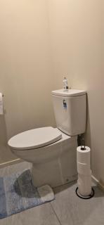 Stylish 3 bedroom home in Palmerston North - Palmerston North - 3