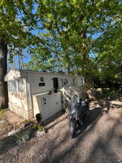 Woodland Retreat Entire Holiday Home in Hastings - Hastings - 7