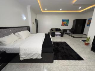 Luxury Single Room Service Apartment in Kaduna - 7