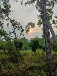 the Kutumb- Where the Himalayas come alive! - Pālampur - 6