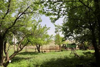 Nagimaguesthous - - 8