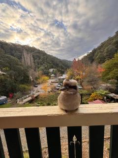 Lee Manor - Walhalla - 9