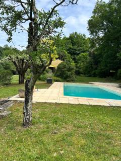 Maison en pierre Les Chardonnerets avec piscine chauffée - Beynac-et-Cazenac - 9