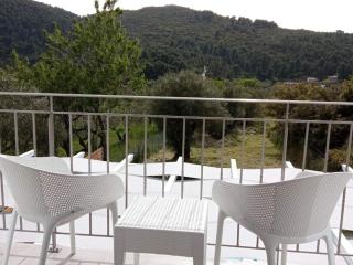 Penelope - Private Pool Villa near stafilos beach - Stafylos - 5
