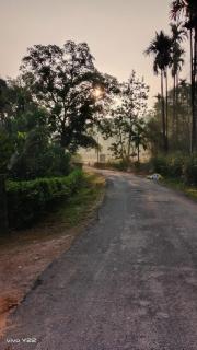 Bamboo river view homestay - Mudigere - 3