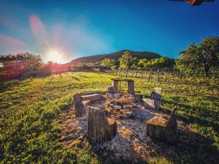 Kádárok Vendégháza a Somló-hegyen - 9