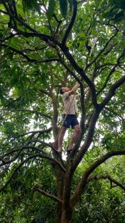 Cauke Homestay - - 6