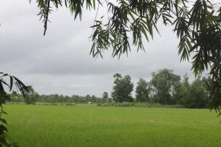 Cauke Homestay - - 4