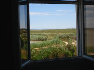 Chambre les flamants, avec vue imprenable sur les étangs, les oiseaux, la nature, petit déjeuner compris - Saintes-Maries-de-la-Mer - 7