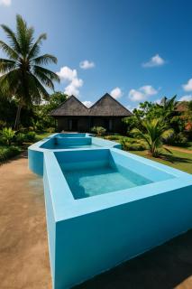 Lemon grass house - Mseweni - 0