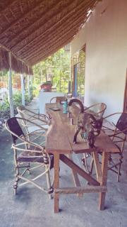 Lemon grass house - Mseweni - 5