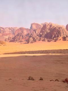 Wadi Rum Wild Experience - Wadi Rum - 7