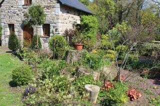 L'Ermitage en Brocéliande Gîte 2 à 4 personnes - Mauron - 9
