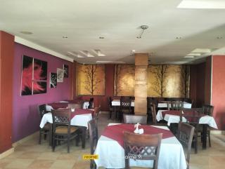 Grand Memphis Hotel in Luxor - Louxor - 6