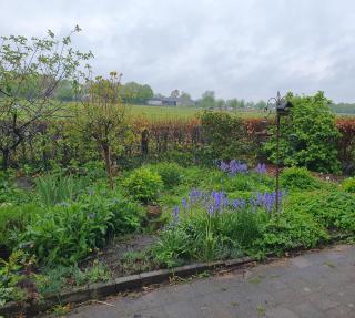 Vakantiehuisje Het Melkmeisje - 1