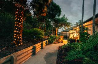 Kilmarnock House - Dunedin - 6