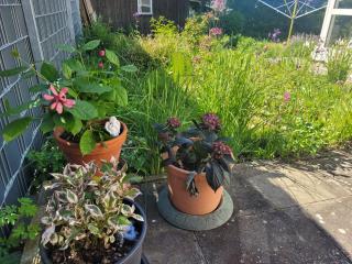 Gemütliche 4-Zimmer Wohnung mit Garten - Äpfingen - 8