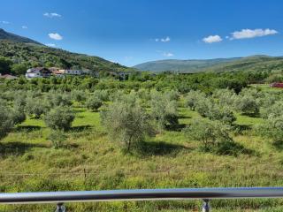 Villa Ari - Berat - 3