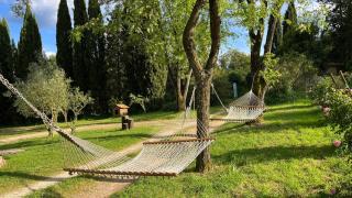 Quinta da Mata de Baixo - 7