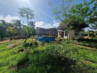 Lemon grass house bungalow - Binguni - 3
