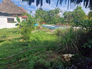 Lemon grass house bungalow - Binguni - 2