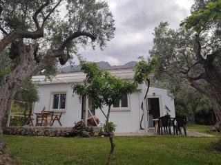 Liostasi Cottage - Kariotes - 0