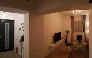 Bucharest Designer Villa - Bucarest - 6