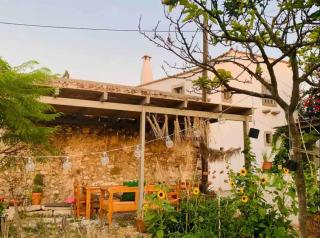 studio Barbouni - Aroniadika - 4