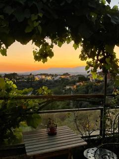 Quattro Gigli Hotel - Montopoli in Val dʼArno - 1