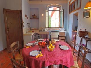 Attractive apartment in old farmhouse on the estate with pool - Umbertide - 3
