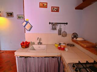 Attractive apartment in old farmhouse on the estate with pool - Umbertide - 1