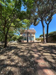 Chalet con vistas en parcela privada - 7