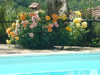 Boutique Cottage in Poggibonsi with Pool - Poggibonsi - 7