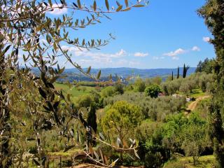 Boutique Cottage in Poggibonsi with Pool - Poggibonsi - 1