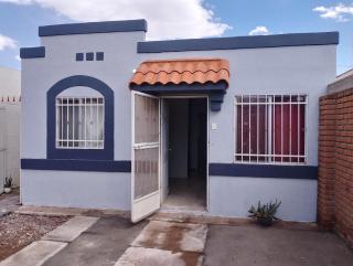 Cefgrgmg - Cedro - 2