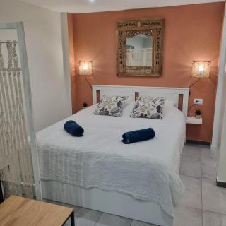 Spacious studio full of charm, recently updated - Nice - 3