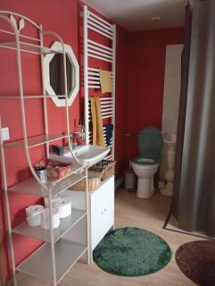 Jolie chambre d'hôte avec terrasse privative près d'Orléans - Riquewihr - 4