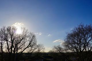 Oakview - 5-Star Hotel Comfort in 4-Bed Home - Garden - Parking - Colchester - 8